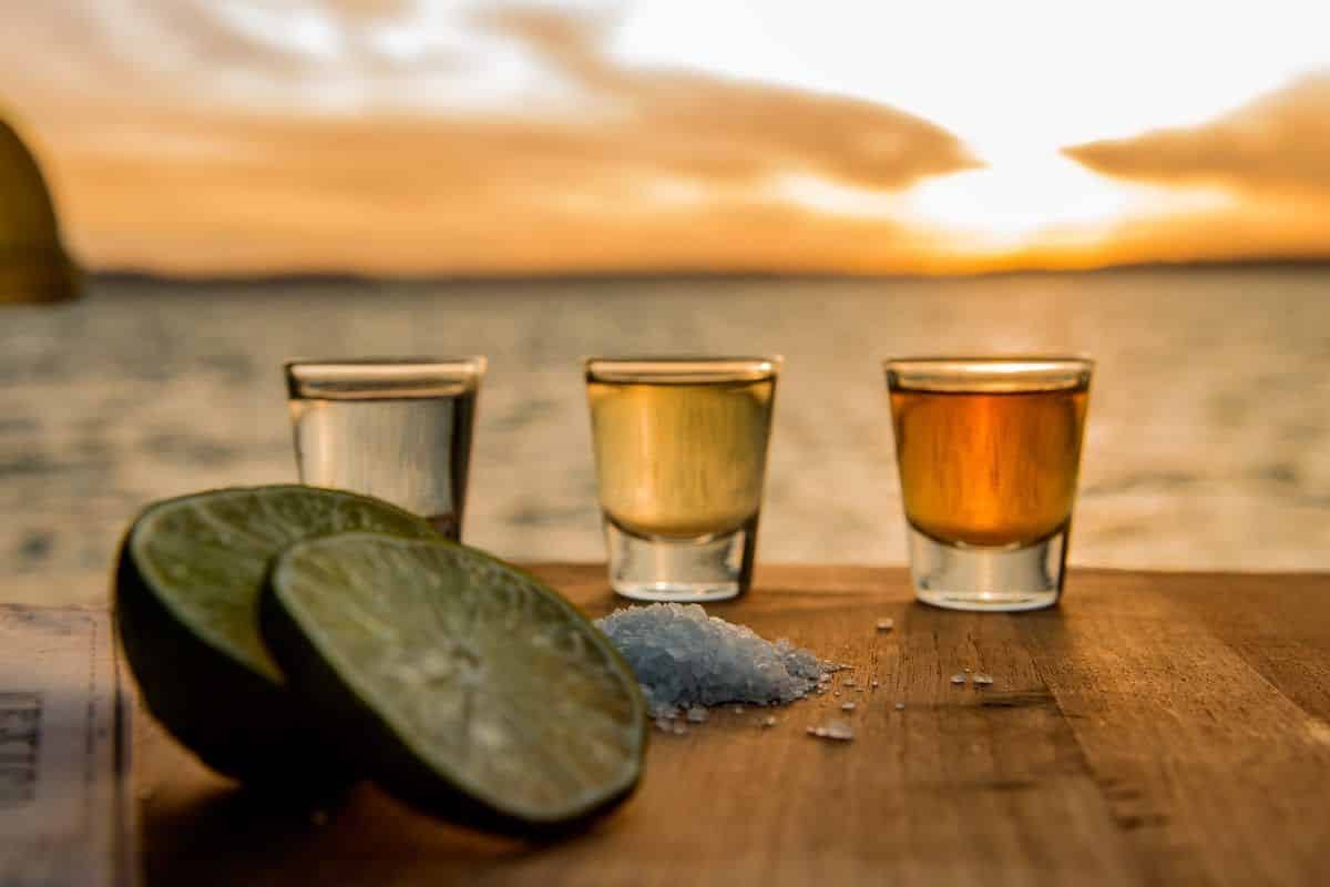 La Diferencia Entre Tequila Mezcal Y Pulque Los Mejores Lugares Para ...