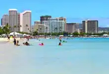 Swimming in Waikiki