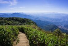 A Day Trip to Doi Inthanon From Chiang Mai, Thailand