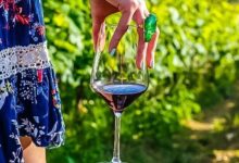 Vinos croatas: fenomenales y presidenciales