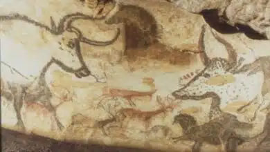 Pinturas rupestres prehistóricas de Lascaux - Blog de viajes de Rick Steves