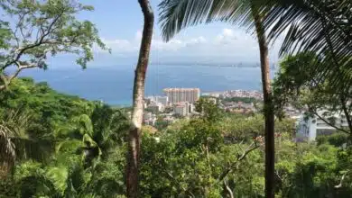 View of Puerto Vallarta from a mountain