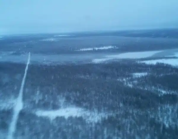 Bosque de Laponia desde el avión