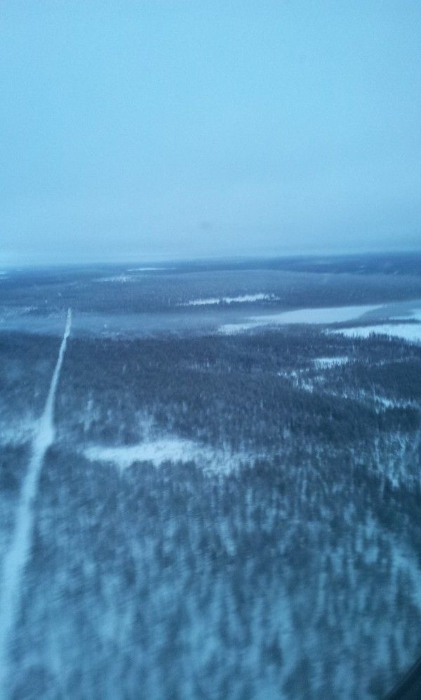 Bosque de Laponia desde el avión