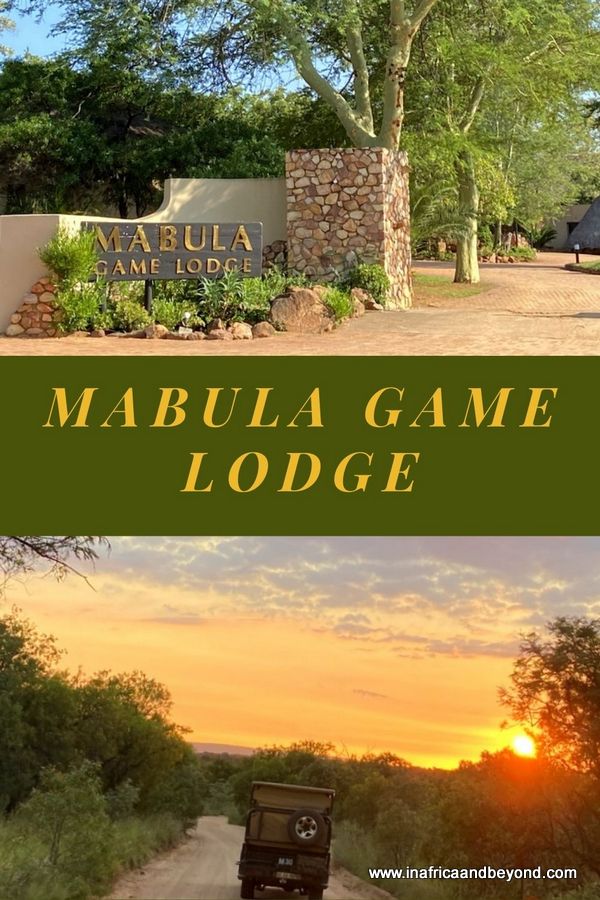 Revisión de Mabula Game Lodge