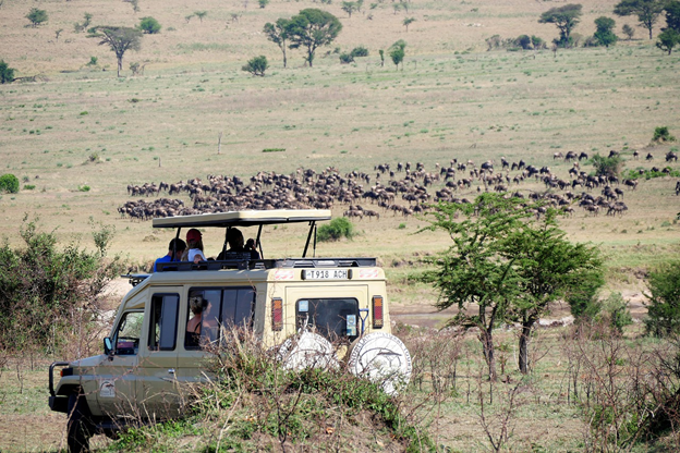 Consejos de transporte en África