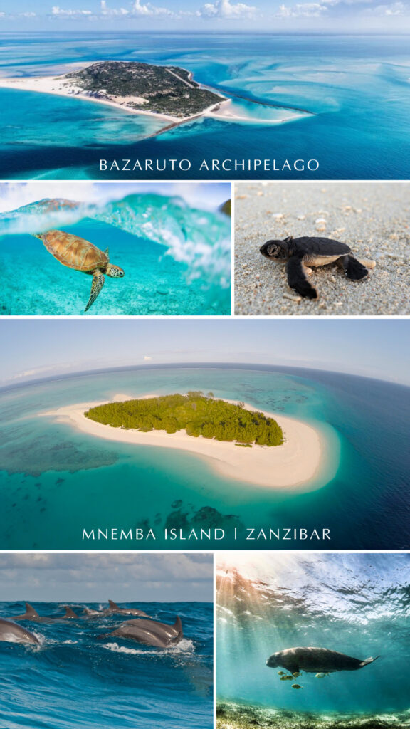Safari marítimo de verano - Islas del Océano Índico - Isla Mnemba en Zanzíbar y Archipiélago de Bazaruto en Mozambique