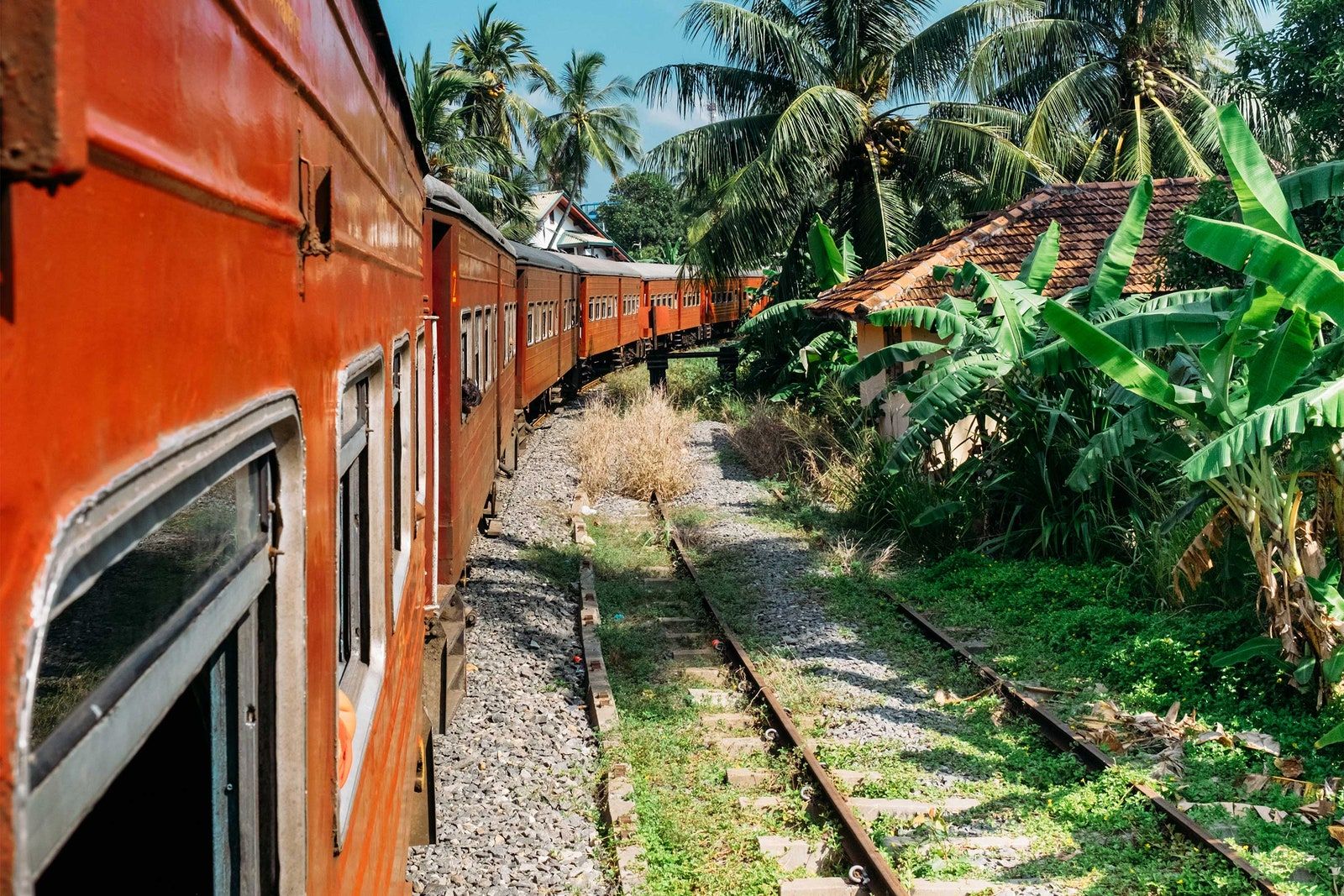 tren a través de la selva