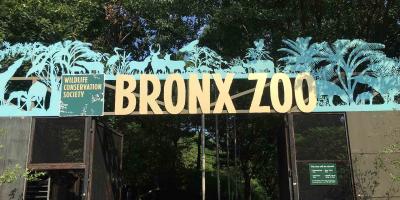 Zoológico del Bronx_170807081608021