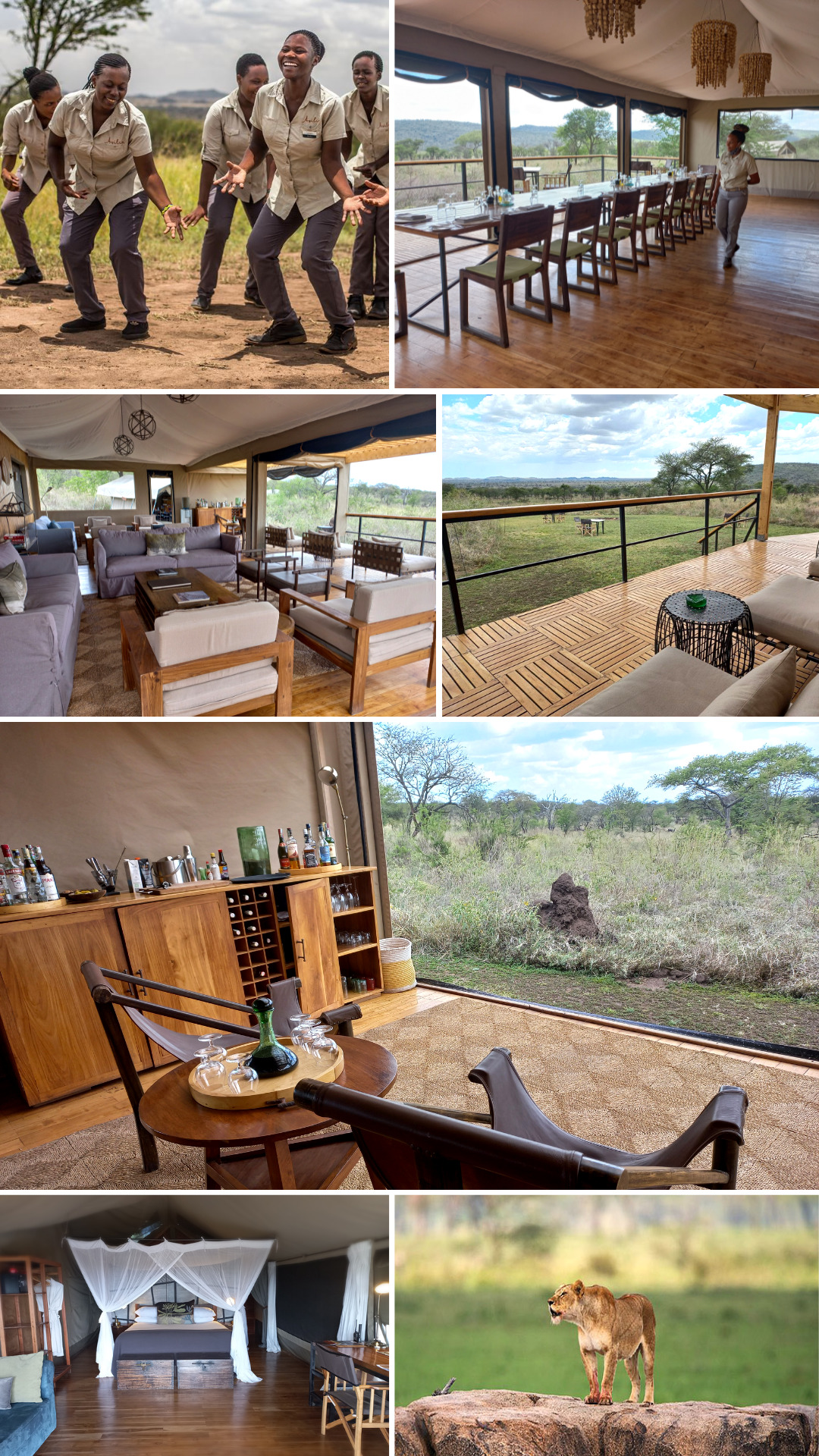 Dunia Camp - Serengeti - Destinos del sur - Safaris en África
