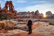 Mistakes Tourists Make At National Parks