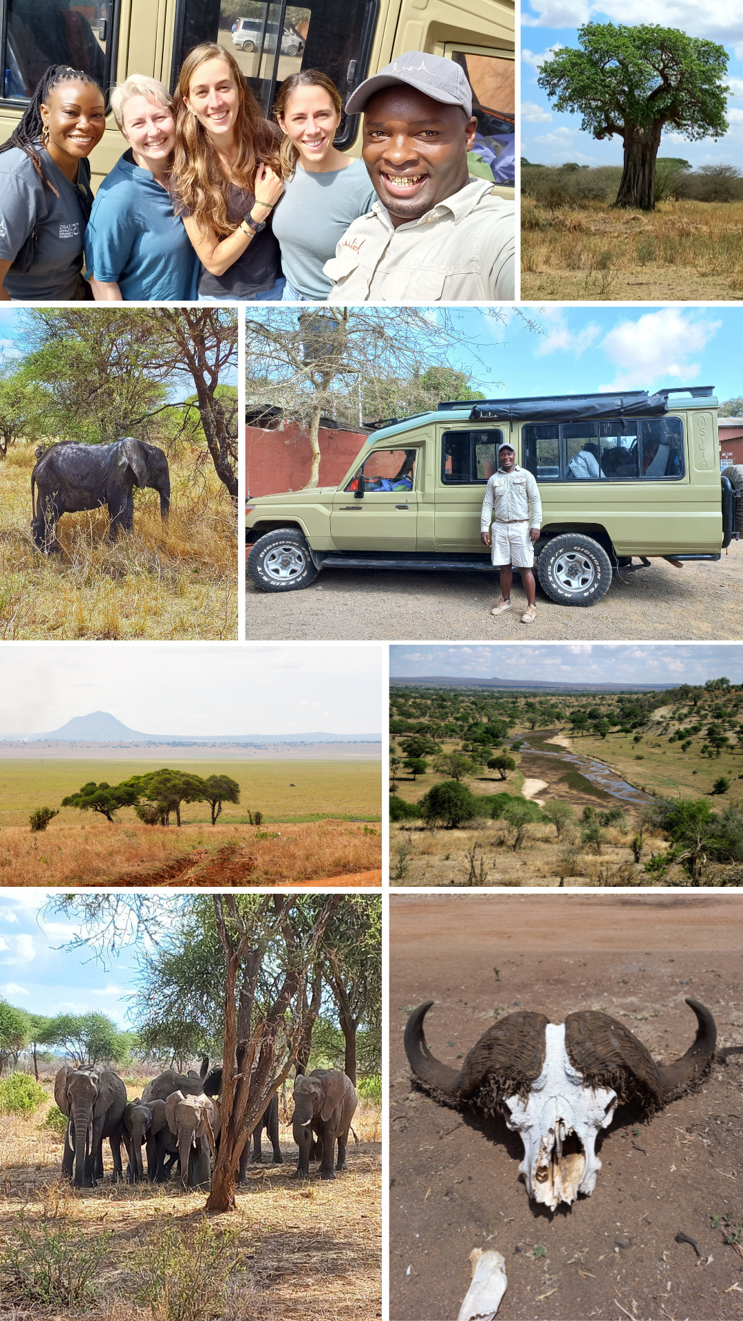 El viaje de Daisy al Parque Nacional Tarangire en Tanzania