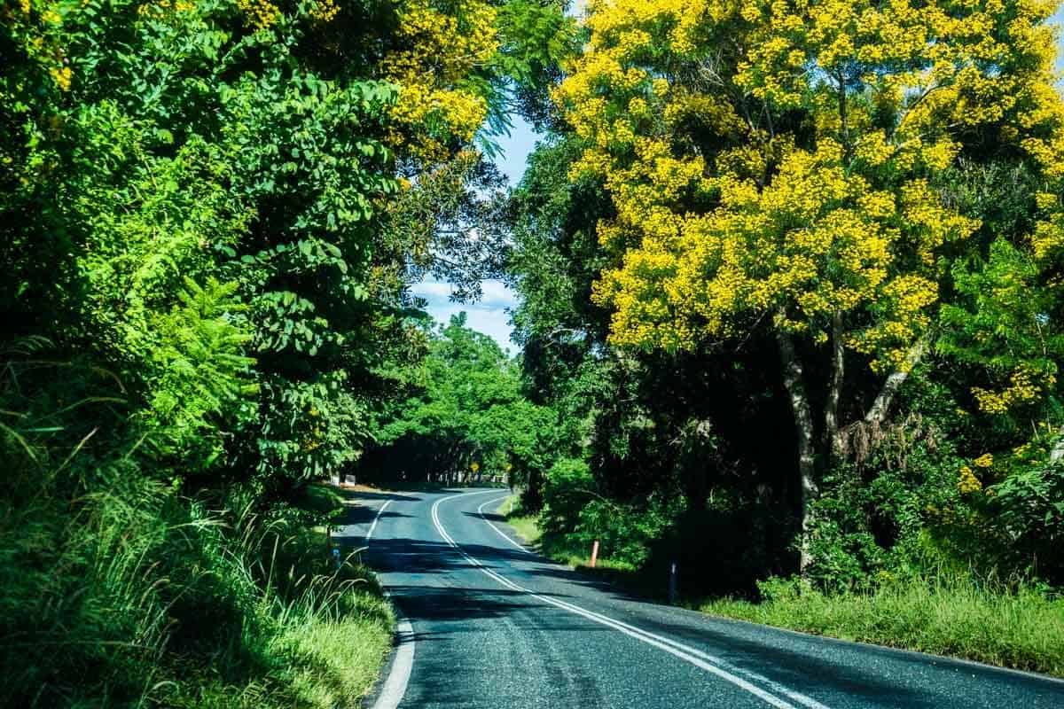 Viaje por carretera sinuoso a NSW