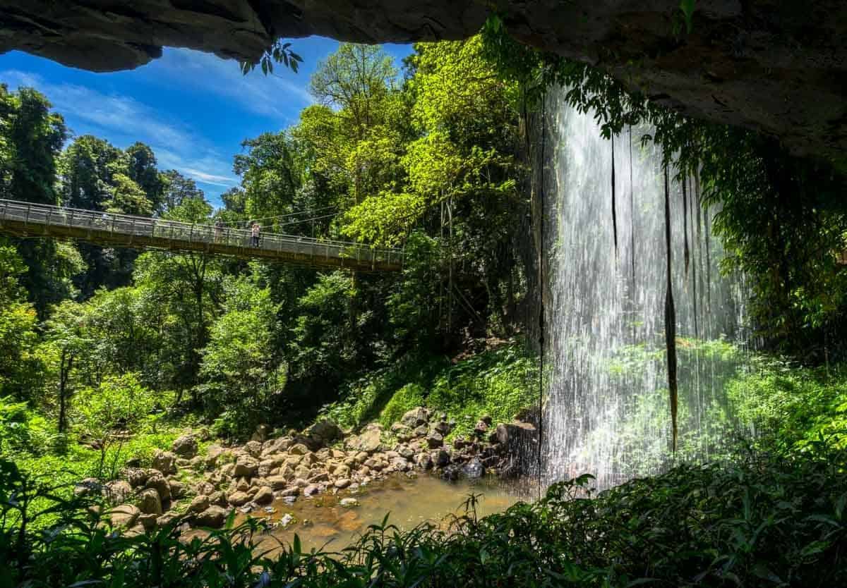 Viaje por carretera a la cascada Dorrigo NSW