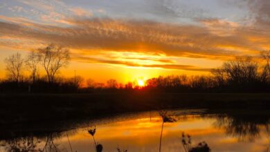 Vía verde Salt Creek Tra