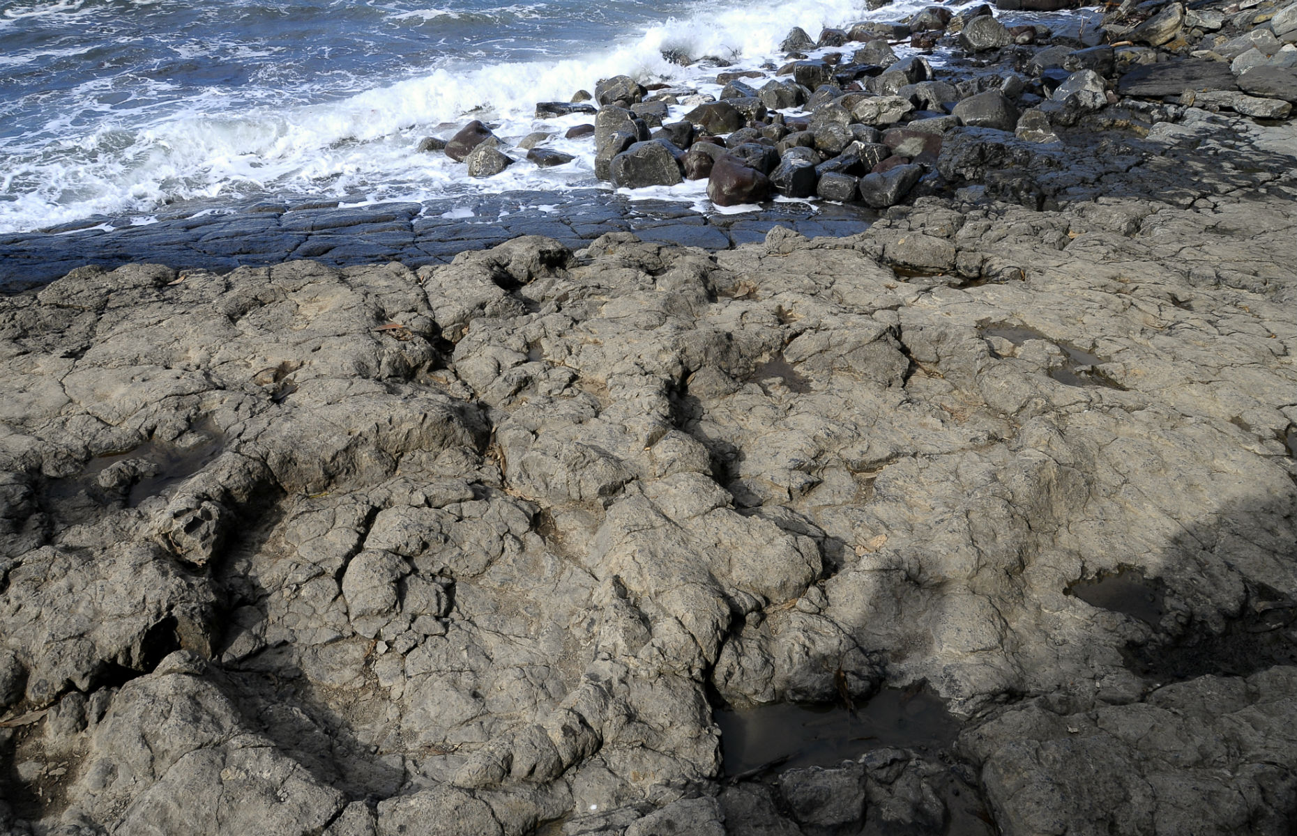 huellas de dinosaurio