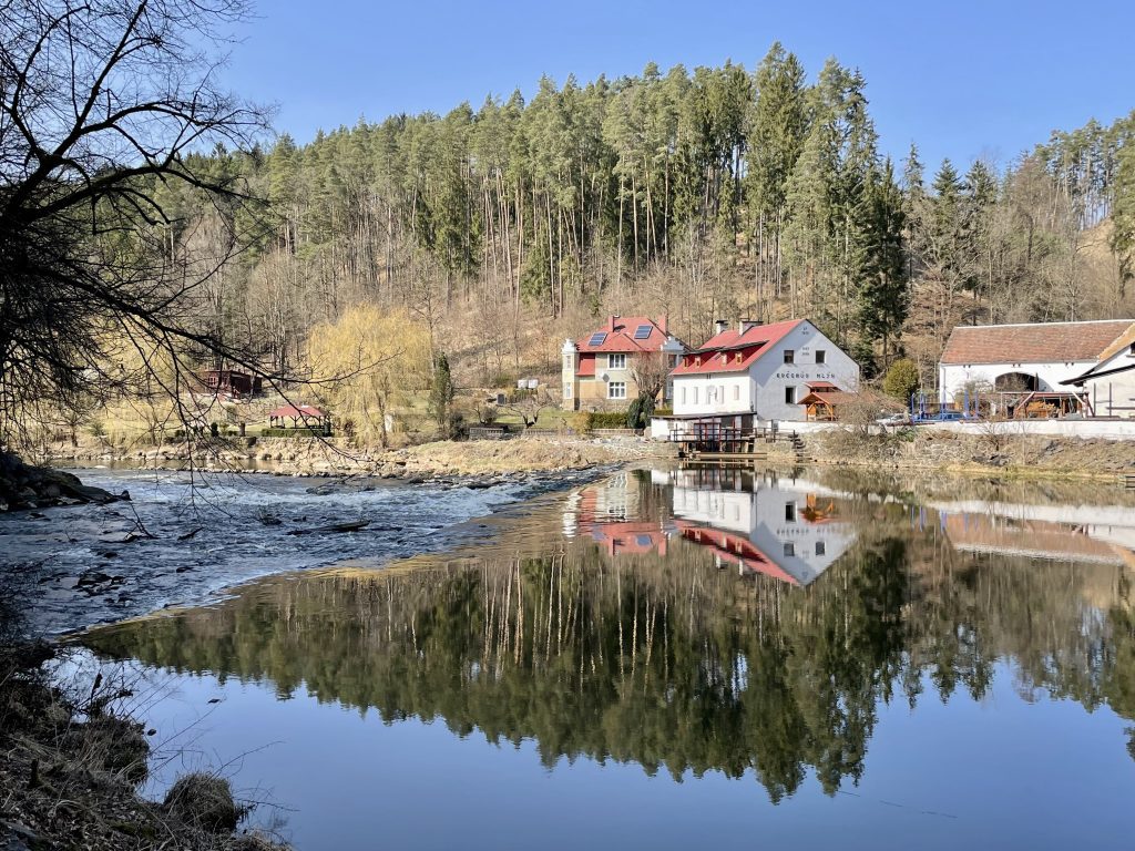 A few small white cottages in the woods, reflected in a mirror-like lake. There are tall spindly pine trees and a bright blue sky.