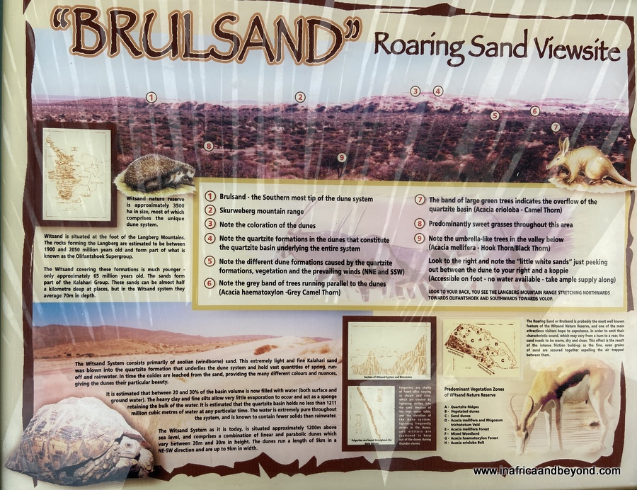 Reserva Natural Witsand Kalahari – Dormir con murciélagos 4 Sabiduría Kalahari