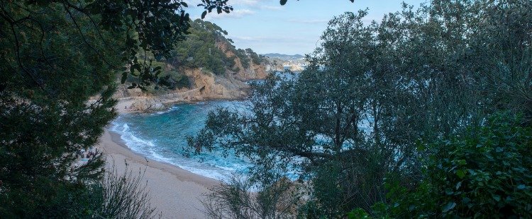 Las mejores playas de la Costa Brava Cala Sant Francesc, Blanes
