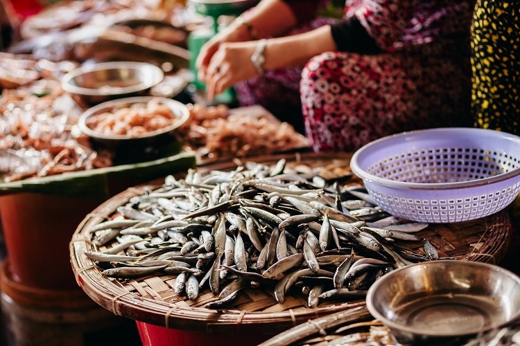Pescado crudo surtido en rodajas y cortado en el mercado local de la calle en Asia, Vietnam