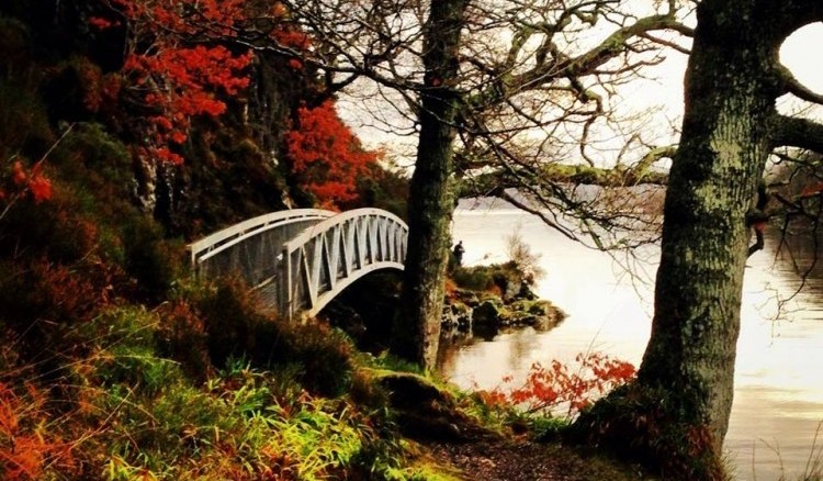 Parque Nacional Loch Lomond - Escocia 