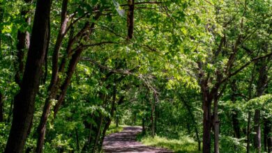 Wyandotte County Lake Park