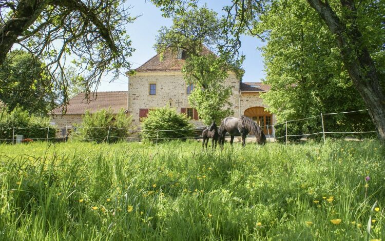 Chateau Beaucharm - Champaña - Los viajes de Oliver