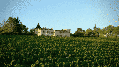 Maison des Vignobles, Francia