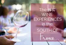 Las mejores experiencias de vino en el sur de Francia