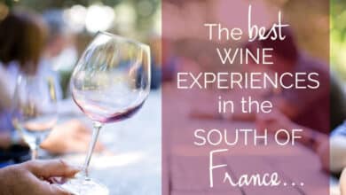 Las mejores experiencias de vino en el sur de Francia