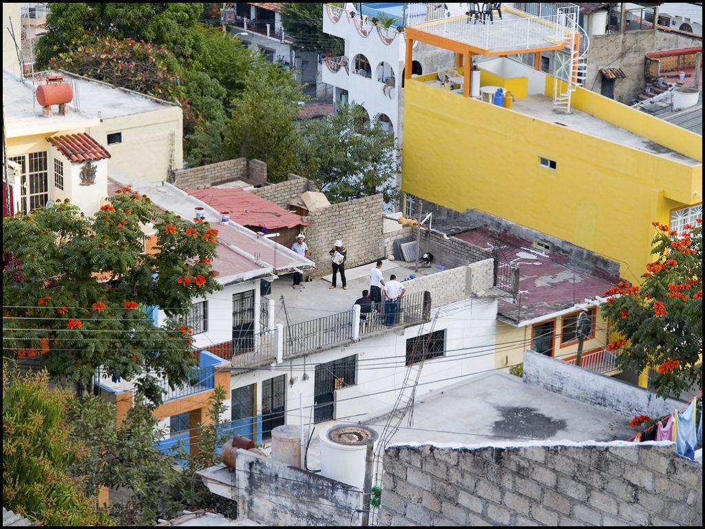 People singing on a rooftop in Bucerias, surrounded by buildings and red-flowering trees.