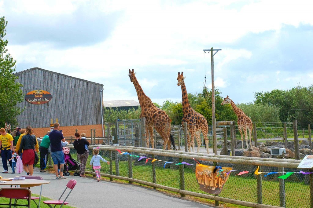 Parque de aventuras y zoológico Folly Farm - Gales