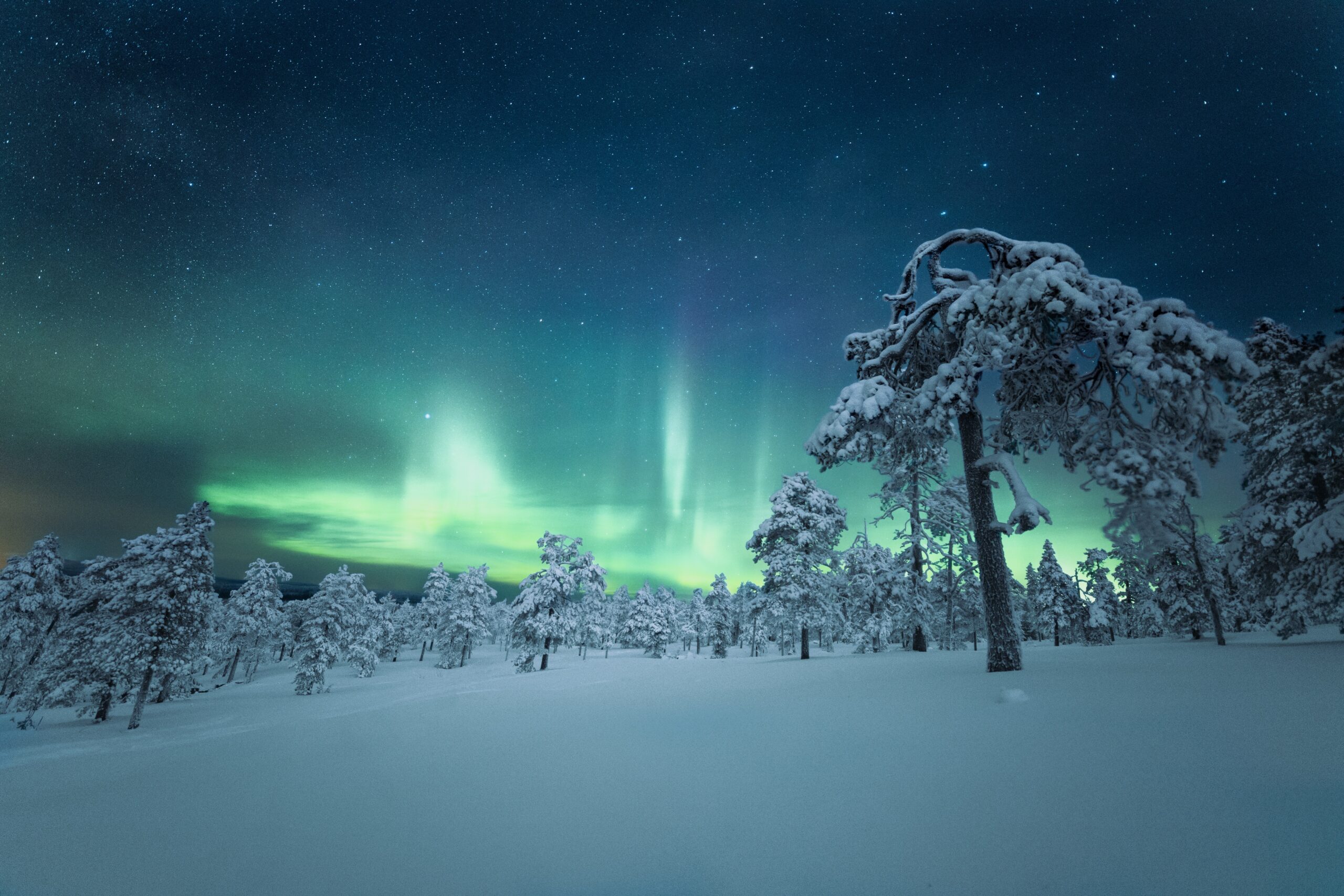 Finlandia En Diciembre los 6 Mejores Lugares Para Visitar Durante Tu 