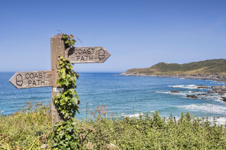 17 de junio de 2017: Woolacombe, North Devon, Inglaterra, Reino Unido - cartel cubierto de hiedra en la ruta de la costa suroeste sobre la playa de Barrican.