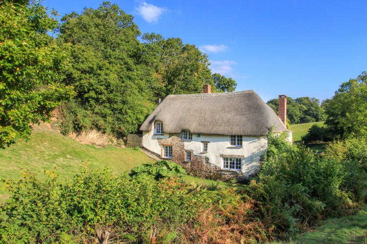 Rooks Cottage - Devon - Los viajes de Oliver