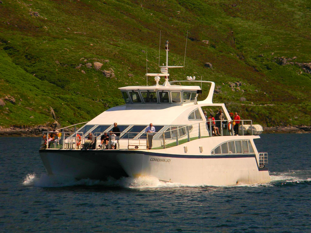 Paseo en barco por el fiordo de Killary