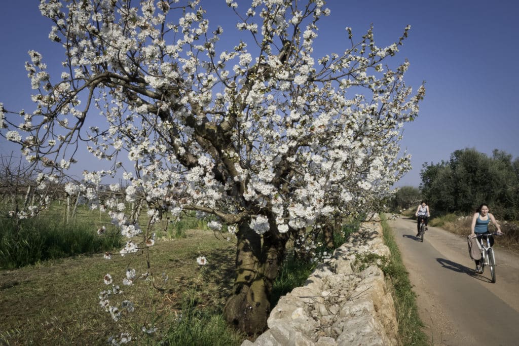 Conversano, Italia - 13 de abril de 2015: Dos niñas con bicicletas una tarde de primavera en el campo de Puglia,
