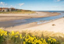 Las mejores playas de Northumberland Alnmouth Beach