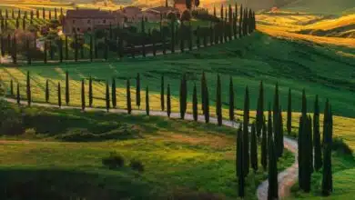 Únase a EuropeUpClose mientras nos dirigimos a algunos de los mejores lugares de interés de la Toscana. ¡Recurso útil para planificar un viaje a la Toscana!