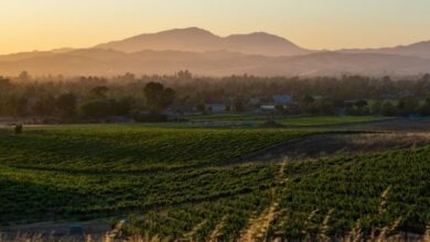 La región vinícola de California - Un blog de viajes de lujo : Un blog de viajes de lujo