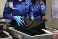 16 de los artículos más salvajes que la TSA detectó en el equipaje de las personas