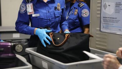 16 de los artículos más salvajes que la TSA detectó en el equipaje de las personas