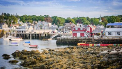 A small seaside town with mostly gray cottages on shore, a rocky coastline, and a few sailboats in the harbor.