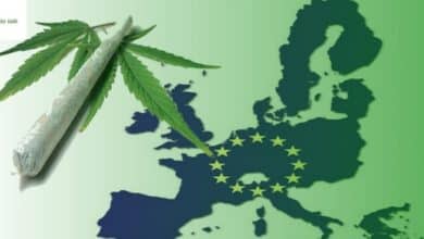 cannabis-europa