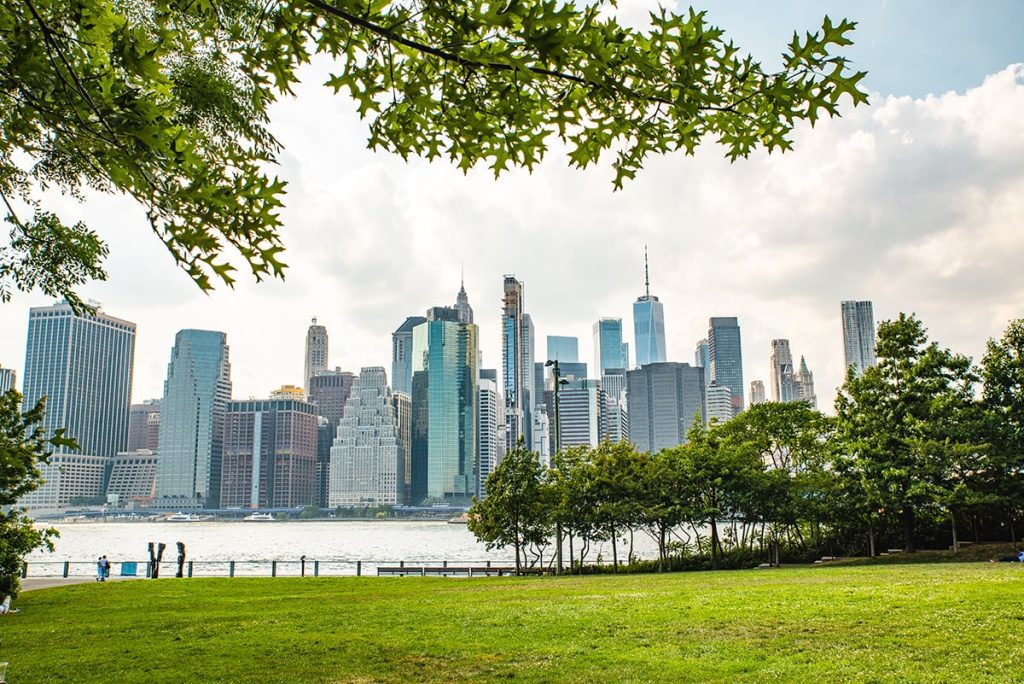 A view from Brooklyn Bridge Park with green grass, water, and the NYC skyline in the background