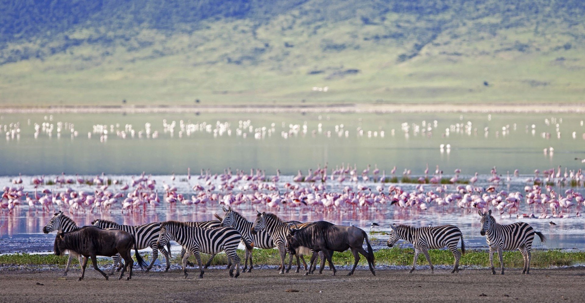El cráter de Ngorongoro es un gran lugar para visitar en África en septiembre