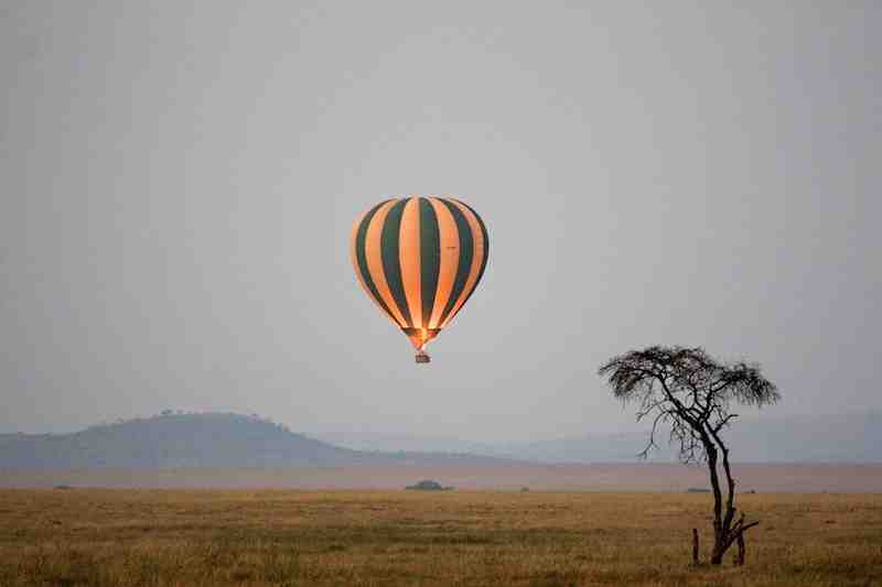 Globo Aerostático - Serengeti - Parque Nacional