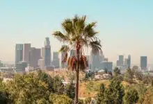 Errores que cometen los turistas cuando visitan Los Ángeles