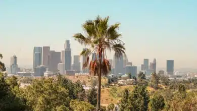 Errores que cometen los turistas cuando visitan Los Ángeles