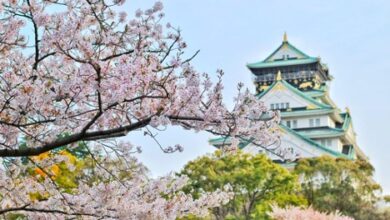 Planifica tu próximo viaje a Japón con paquetes de viaje a medida